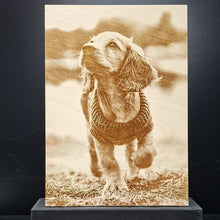 Katso kuvagalleriassa, Kuvataulu